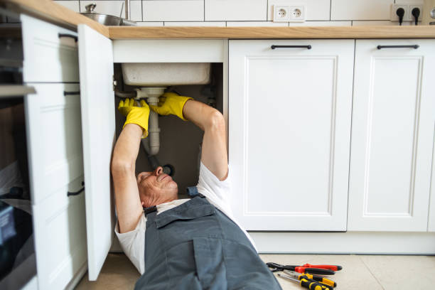 Best Affordable Plumber Near Me  in Bemidji, MN