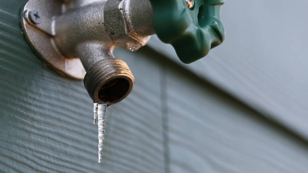 Best Clogged Drain Plumber  in Bemidji, MN