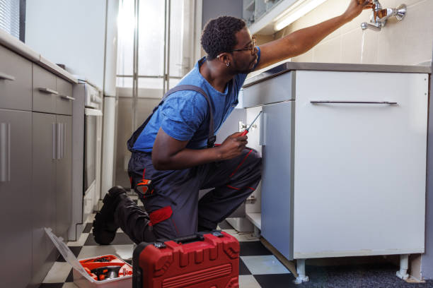 Best Plumbing Inspection Services  in Bemidji, MN